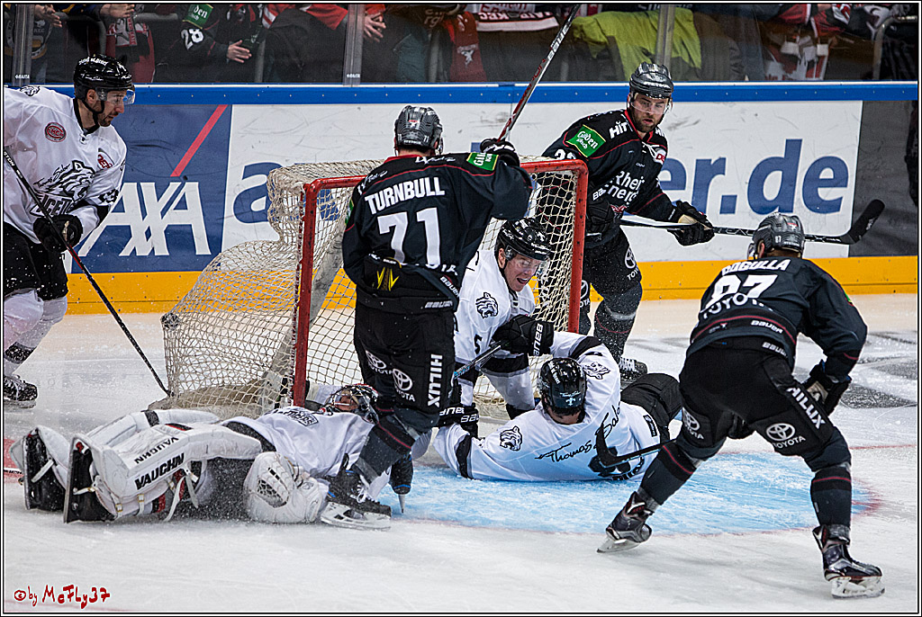 DEL, Koelner Haie - Nuernberg Ice Tiger, 24.01.2017